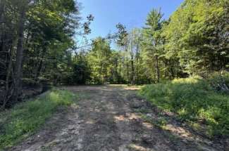 Serene Acreage with Endless Opportunities – 00 Oswego Rd.