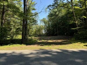 view of wooded lot for sale in the town of vienna new york